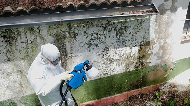 Trusted Commercial Mold Remediation service in Richboro, PA - Cheap Mold Removal